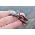 Силикон BB - Rush Craw SW 951111