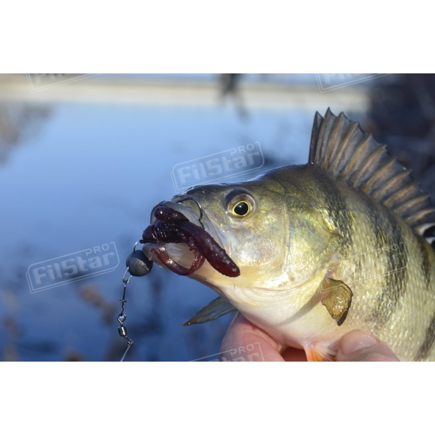 Силикон BB - Rush Craw SW 951111