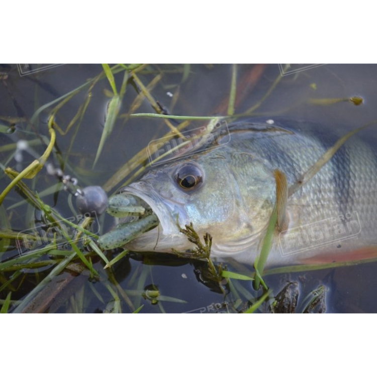 Силикон BB - Rush Craw SW 951111