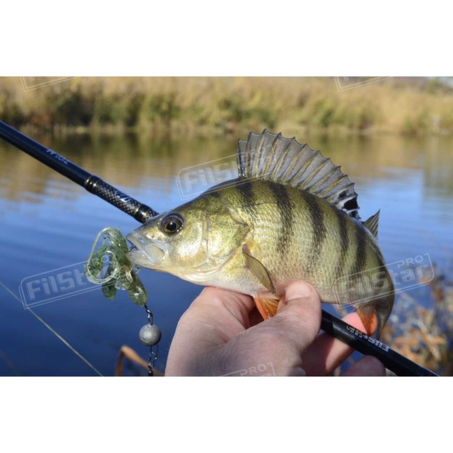 Силикон BB - Rush Craw SW 951111