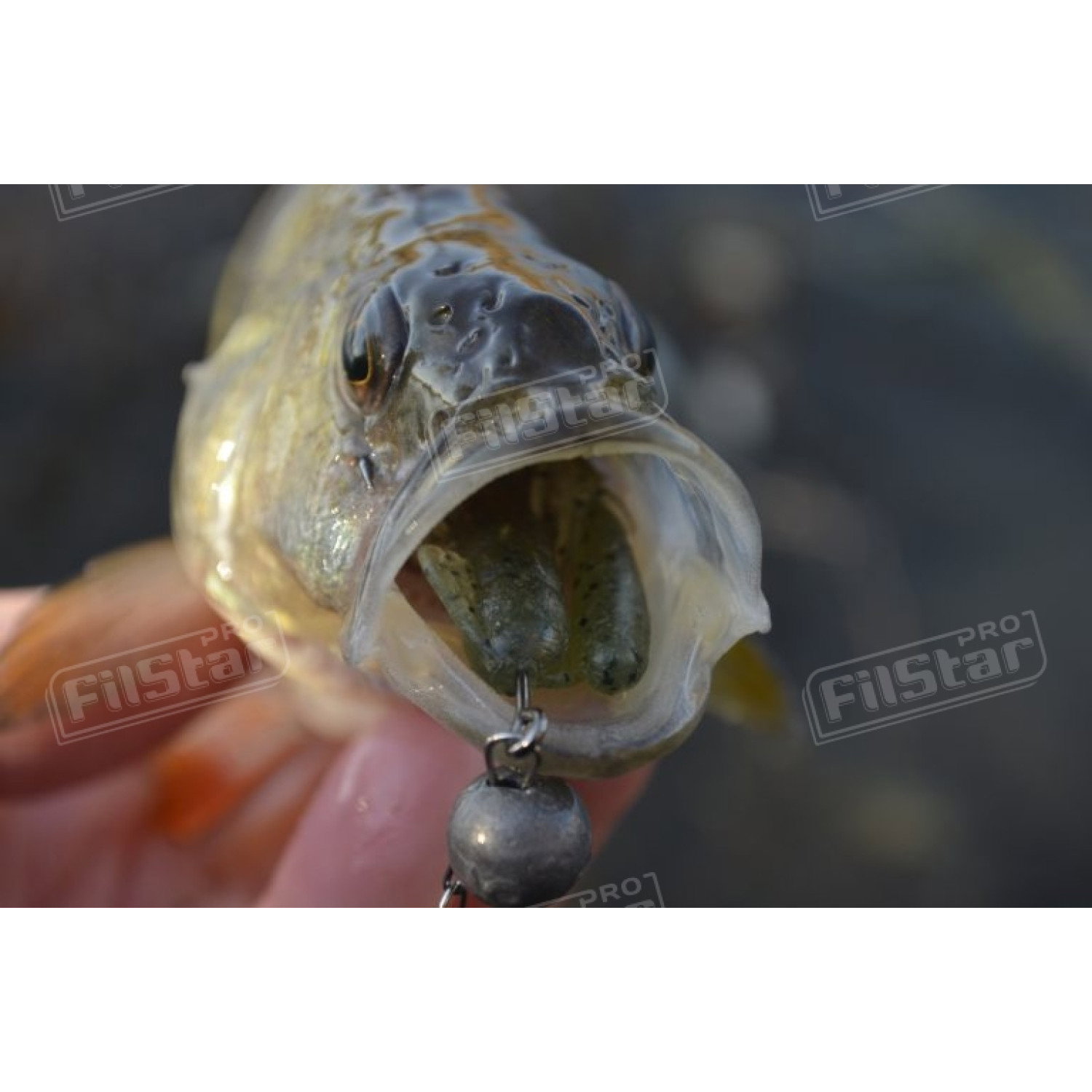 Силикон BB - Rush Craw SW 951111