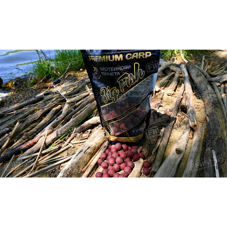 Протеинови топчета FilStar Premium Carp - Big Fish 951009
