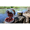 Топчета Hookbaits FilStar Premium Carp 950995