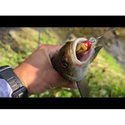 Воблер Sea Buzz Chub Bug 27F-MR