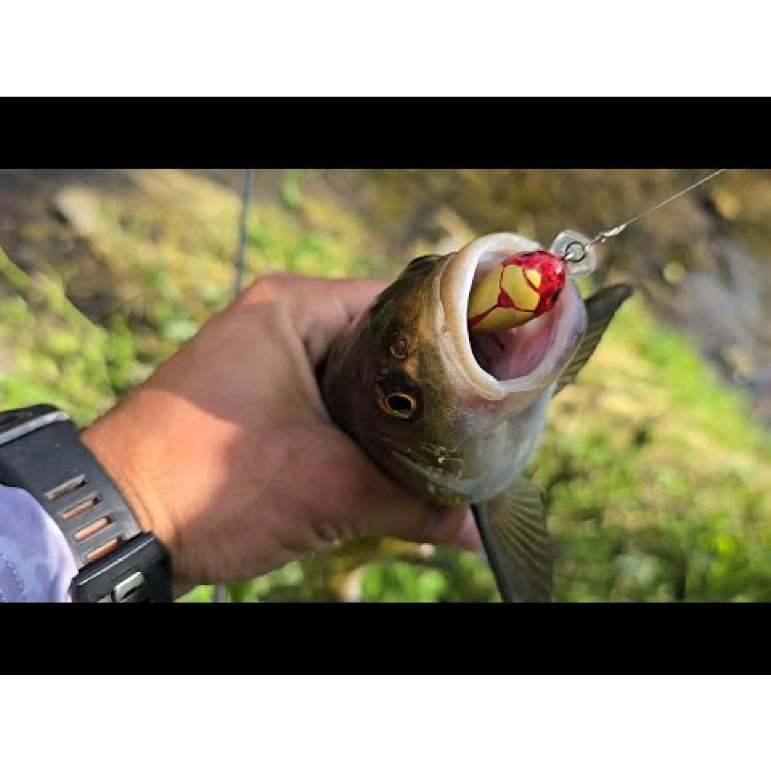 Воблер Sea Buzz Chub Bug 27F-MR