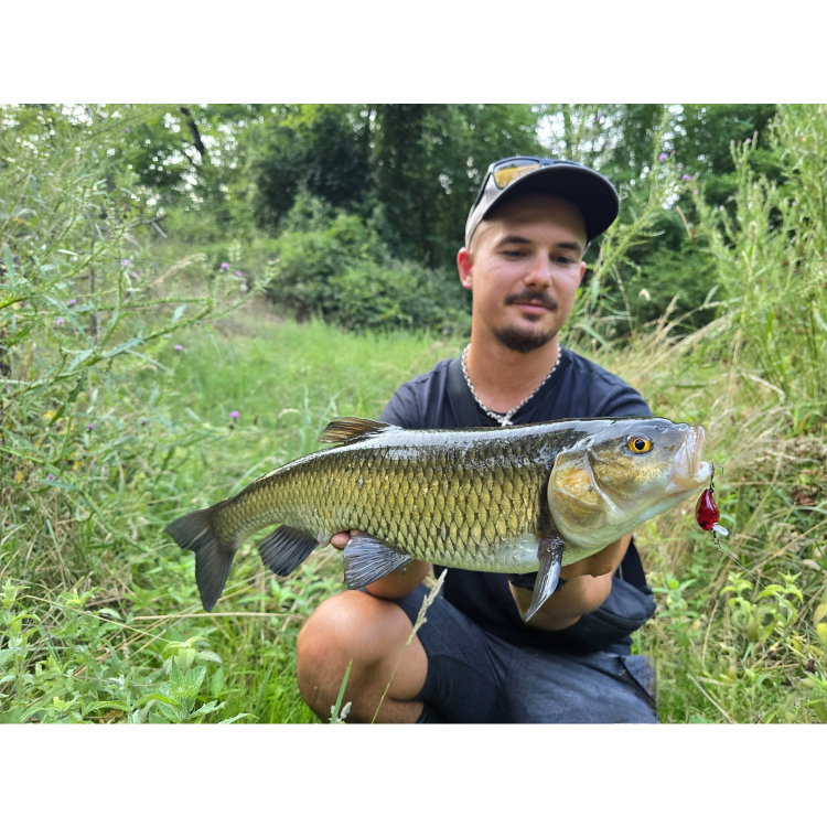 Воблер Sea Buzz Chub Bug 27F-MR