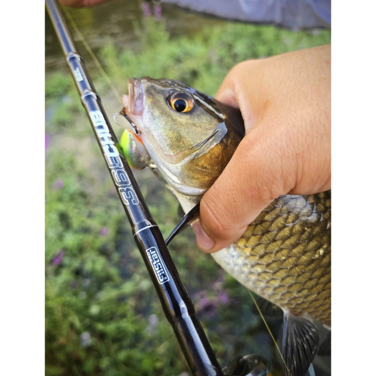 Воблер Sea Buzz Chub Bug 27F-MR