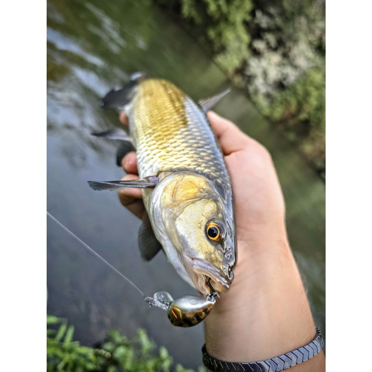 Воблер Sea Buzz Chub Bug 27F-MR