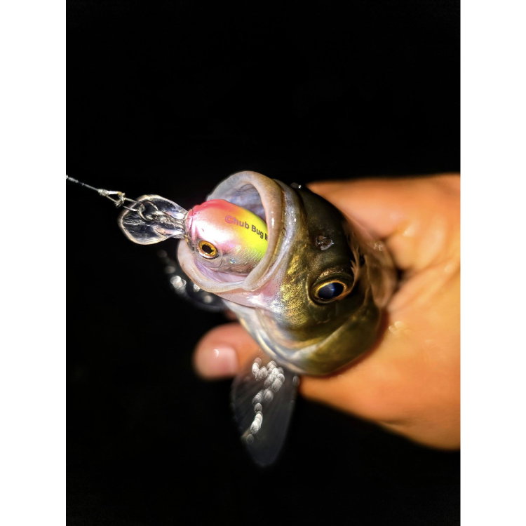 Воблер Sea Buzz Chub Bug 27F-MR