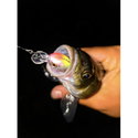Воблер Sea Buzz Chub Bug 27F-MR