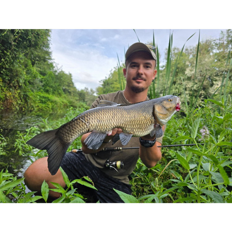 Воблер Sea Buzz Chub Bug 27F-MR