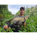 Воблер Sea Buzz Chub Bug 27F-MR