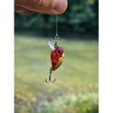 Воблер Sea Buzz Chub Bug 27F-MR