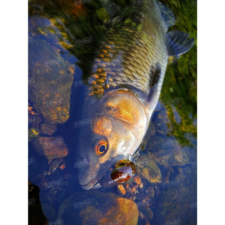 Воблер Sea Buzz Chub Bug 27F-MR