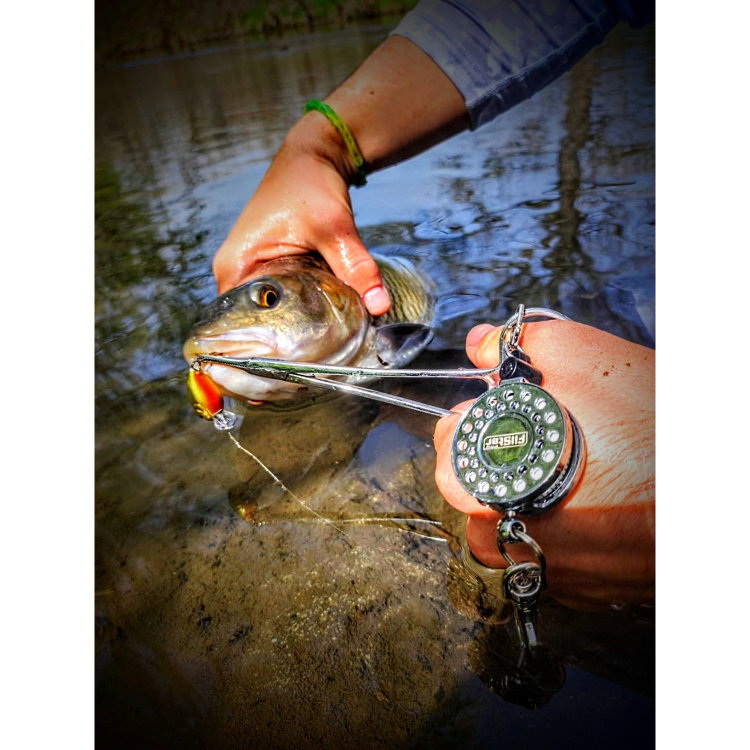 Воблер Sea Buzz Chub Bug 27F-MR