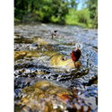 Воблер Sea Buzz Chub Bug 27F-MR