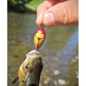 Воблер Sea Buzz Chub Bug 27F-MR