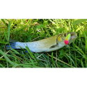 Воблер Sea Buzz Chub Bug 27F-MR
