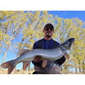 Воблер Sea Buzz Sparky Crank 40F-MR