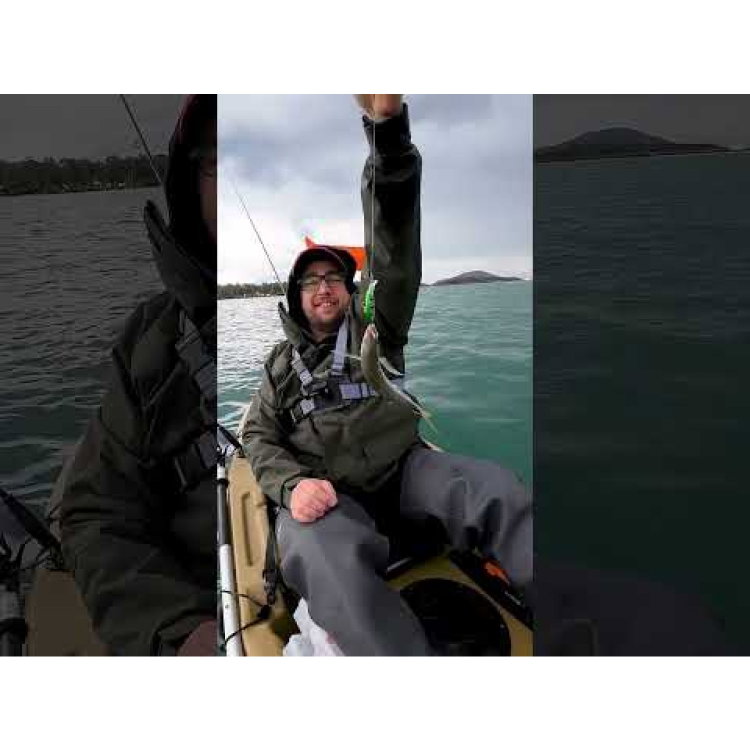 Воблер Sea Buzz Humpback 33S