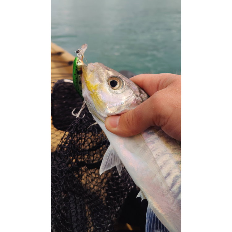 Воблер Sea Buzz Humpback 33S