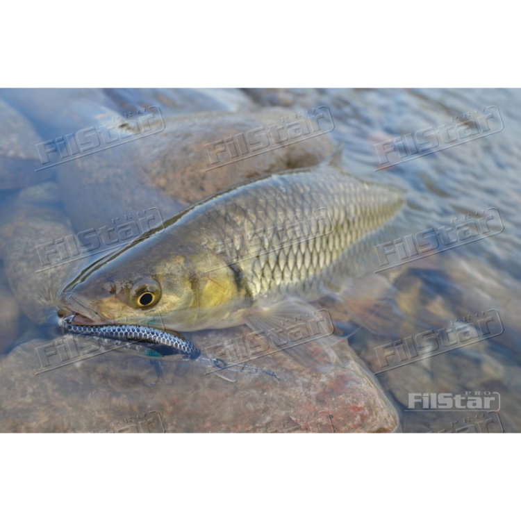 Воблер Sea Buzz River Shad 40F-MR