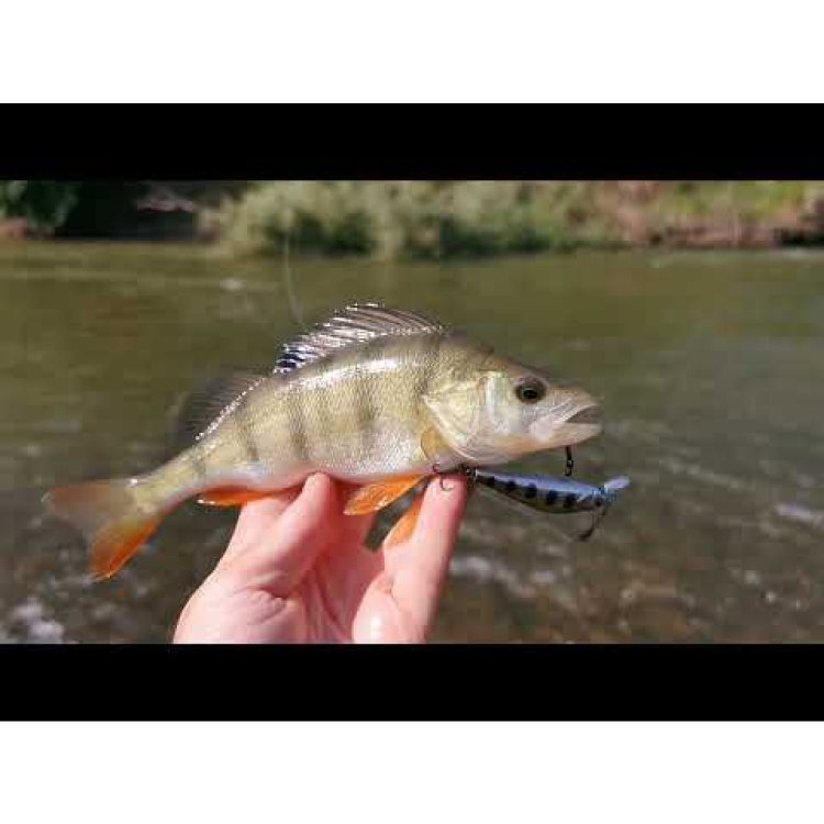 Воблер Sea Buzz TJ Minnow 50SP-SR