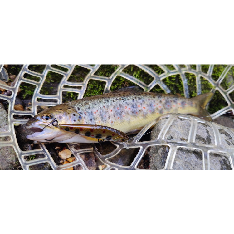 Воблер Sea Buzz TJ Minnow 50SP-SR