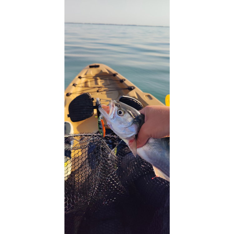 Воблер Sea Buzz TJ Minnow 50SP-SR