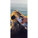 Воблер Sea Buzz TJ Minnow 50SP-SR