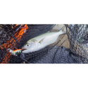 Воблер Sea Buzz TJ Minnow 50SP-SR