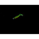 Силикон Westin CurlTeez Curltail P121-021-005