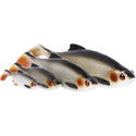 Силикон Westin Ricky the Roach Shadtail P115-869-005