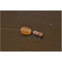 Арт.710 Бърза връзка Stonfo Connector Beads 954525