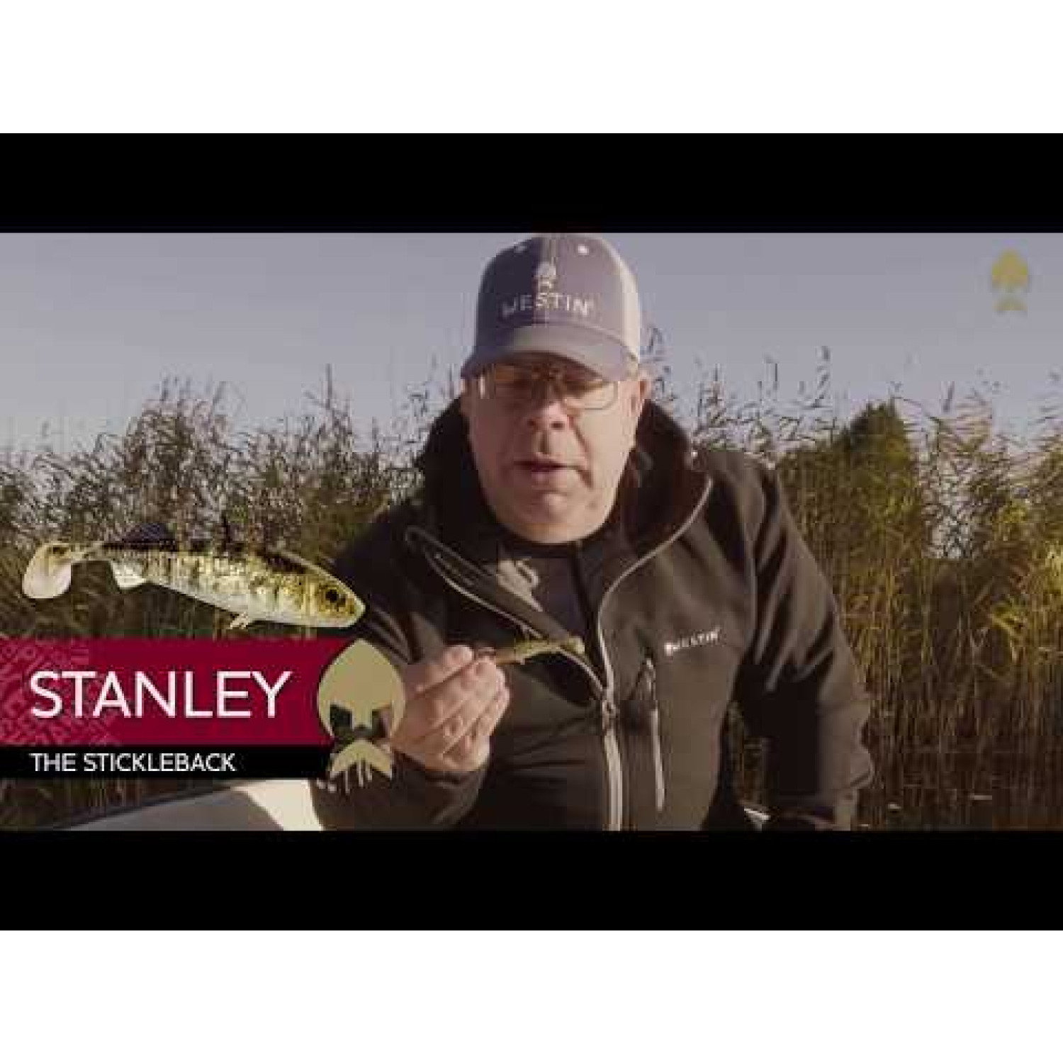 Силикон Westin Stanley the Stickleback Shadtail P117-317-006