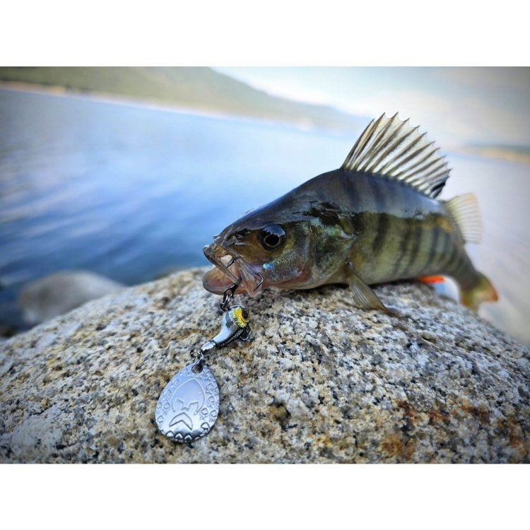 Спинер Westin DropBite Tungsten Spin Tail Jig P101-122-076