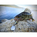 Спинер Westin DropBite Tungsten Spin Tail Jig P101-122-076