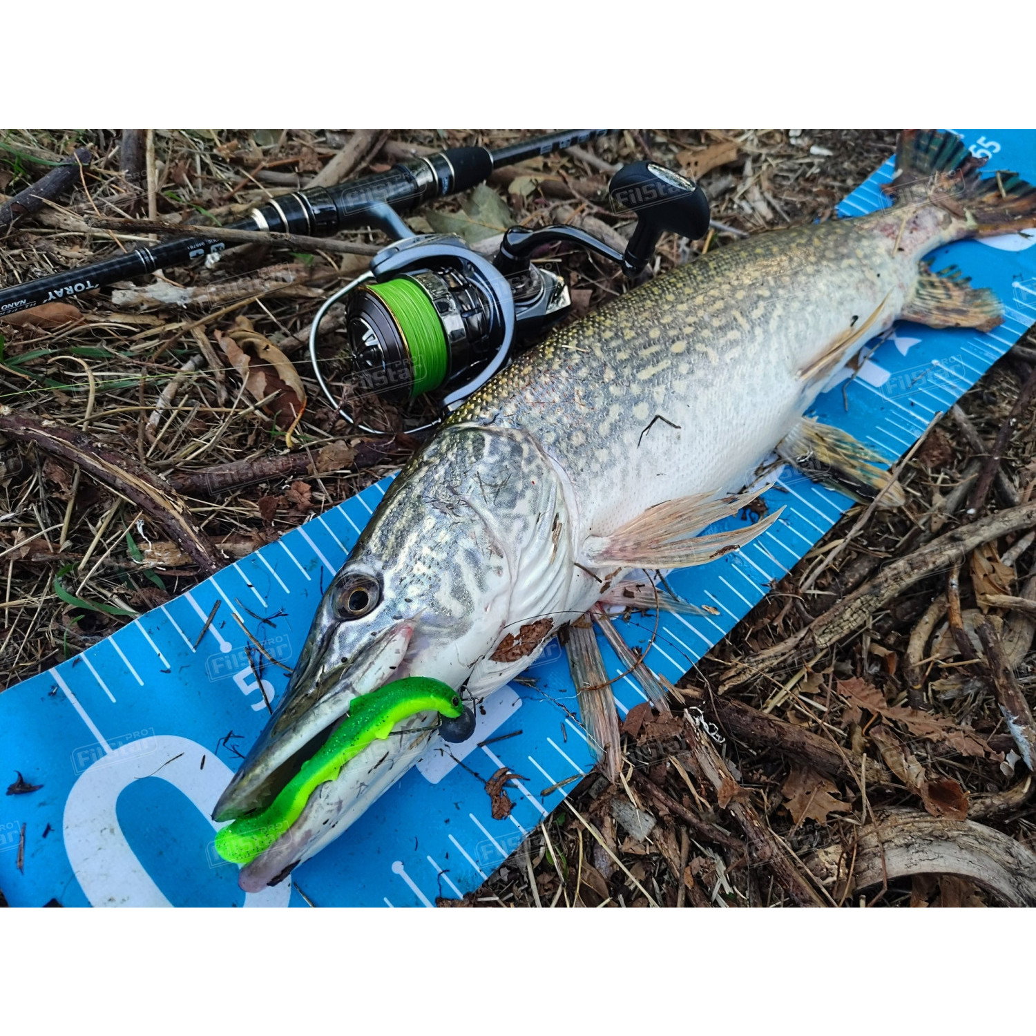 Силикон Westin BullTeez Curltail P080-021-010