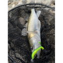 Силикон Westin BullTeez Curltail P080-021-010