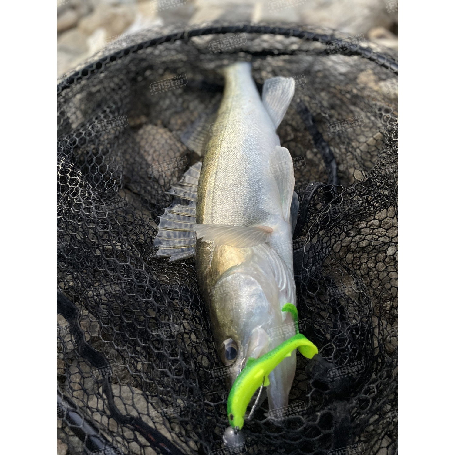 Силикон Westin BullTeez Curltail P080-021-010