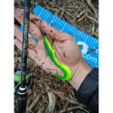 Силикон Westin BullTeez Curltail P080-021-010