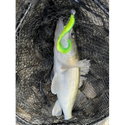 Силикон Westin BullTeez Curltail P080-021-010