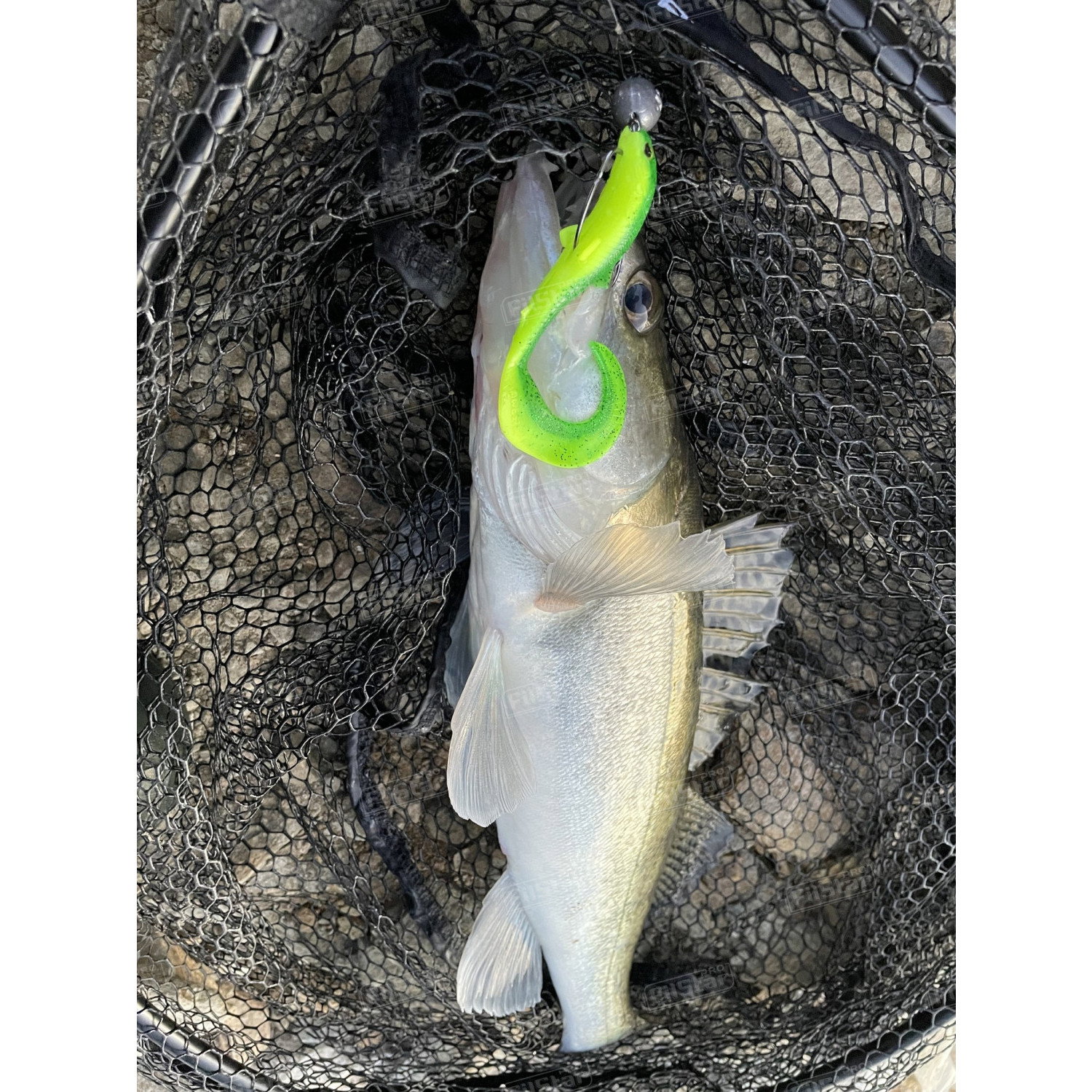 Силикон Westin BullTeez Curltail P080-021-010