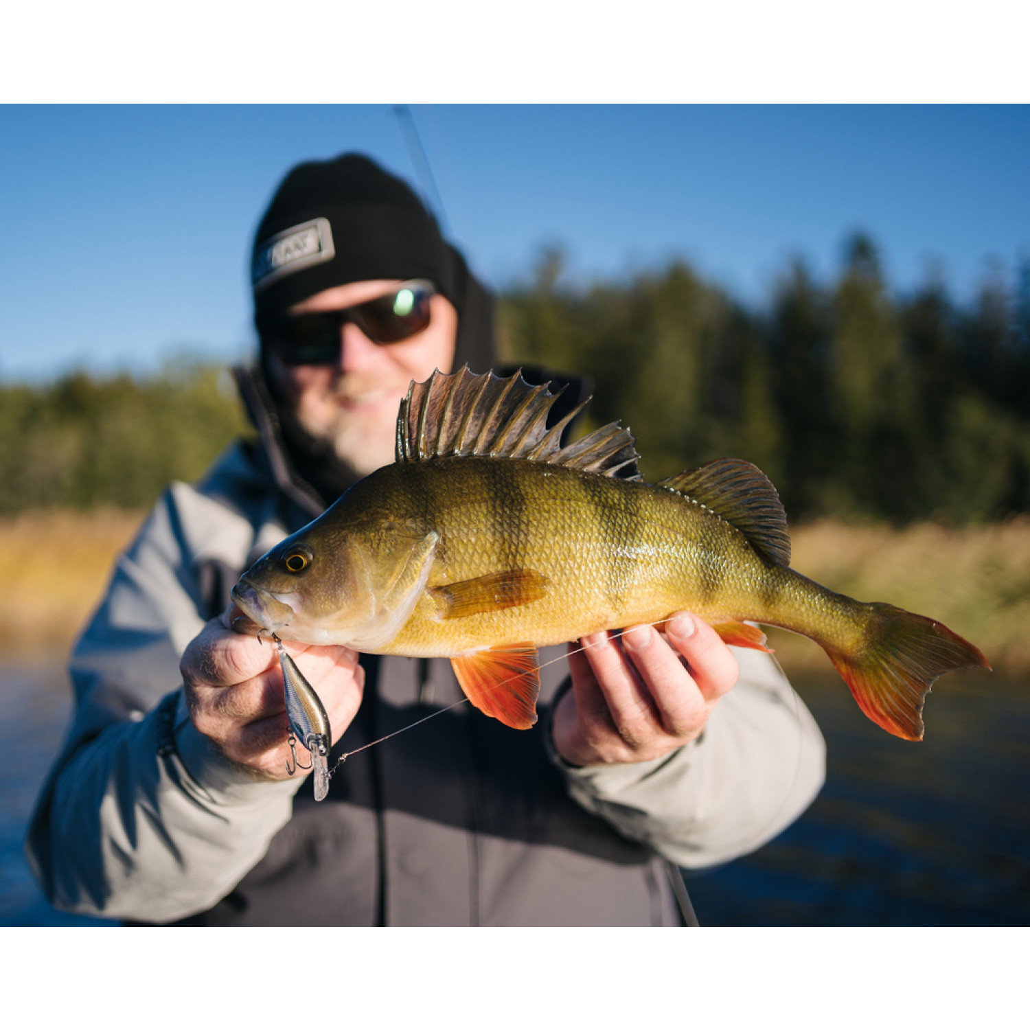 Воблер Rapala Shad Rap Elite SRE75 - GDP