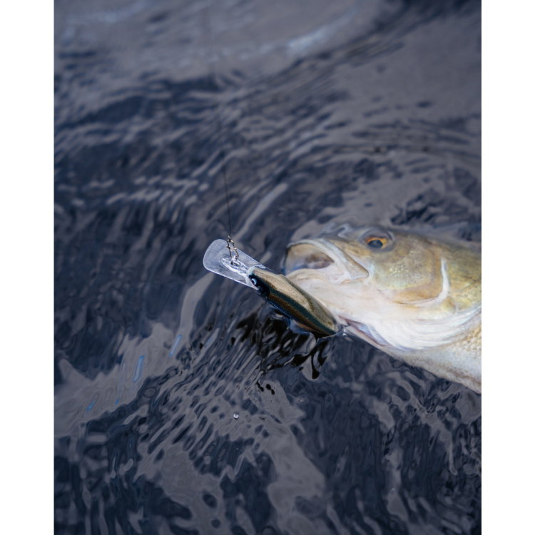 Воблер Rapala Shad Rap Elite SRE75 - GDP