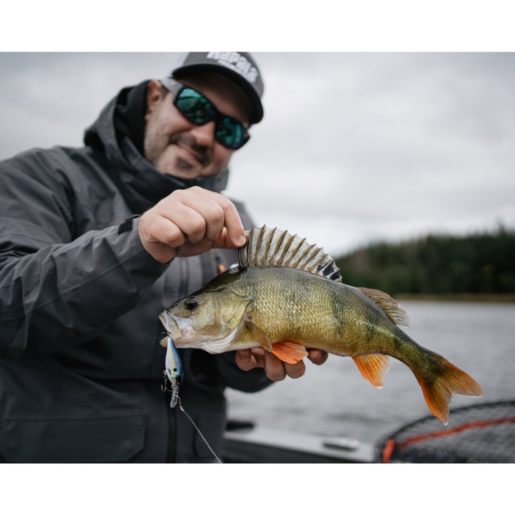 Воблер Rapala Shad Rap Elite SRE75 - GDP