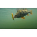 Воблер Rapala Precision Xtreme Pencil PXRP107 - BLK