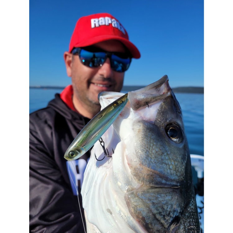 Воблер Rapala Precision Xtreme Pencil Saltwater PXRPS127 - GHSH