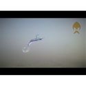 Силикон Westin RingTeez Curltail P010-309-010