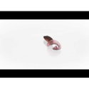 Силикон Westin RingTeez Curltail P010-309-010